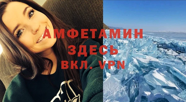 ПСИЛОЦИБИНОВЫЕ ГРИБЫ Покров