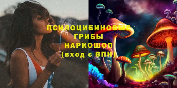 ПСИЛОЦИБИНОВЫЕ ГРИБЫ Покров