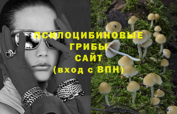 Альфа ПВП Абдулино