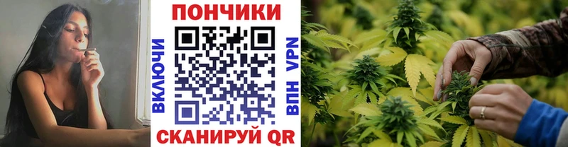 как найти закладки  Кириллов  Бошки Шишки марихуана 